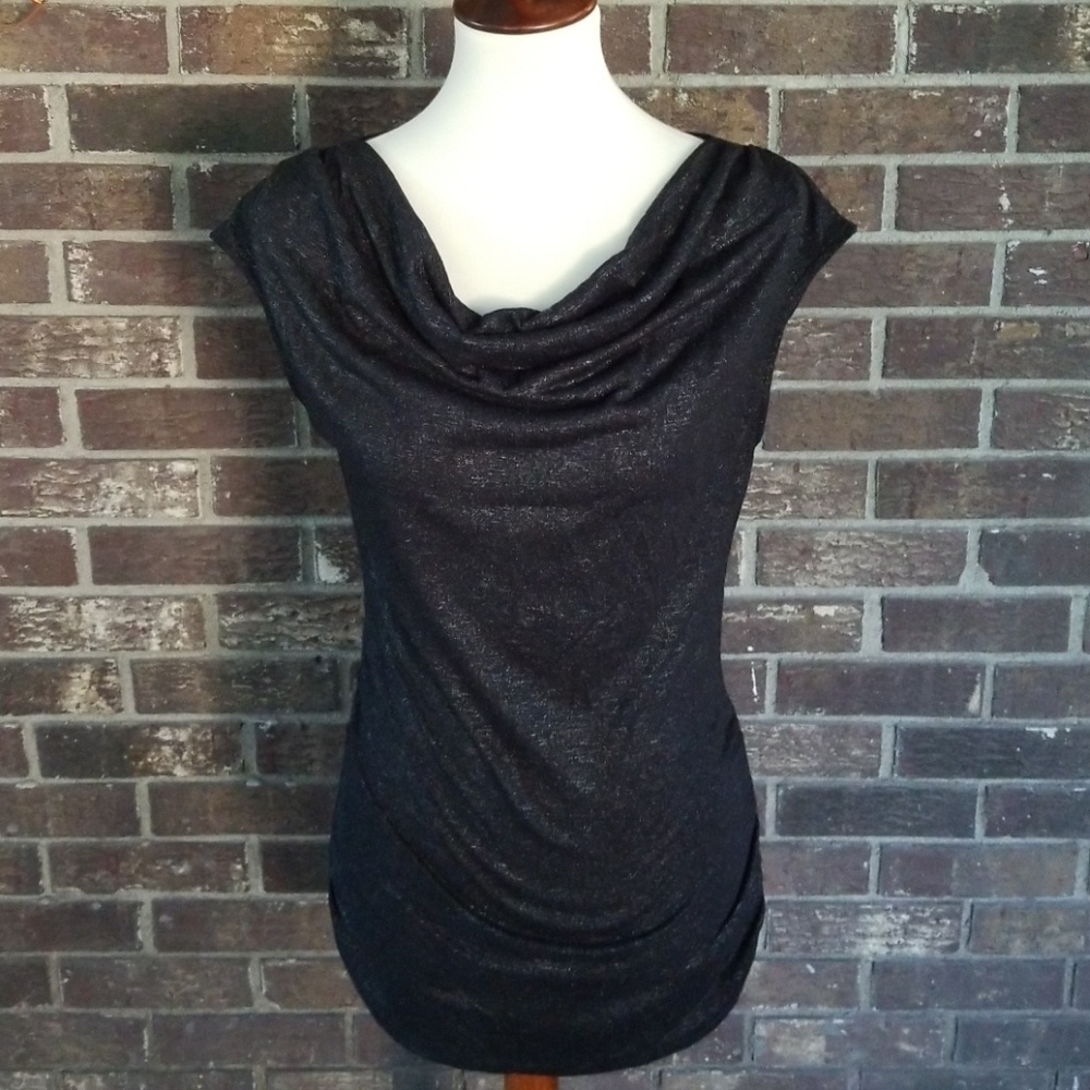 Express Shimmery Sleeveless Top